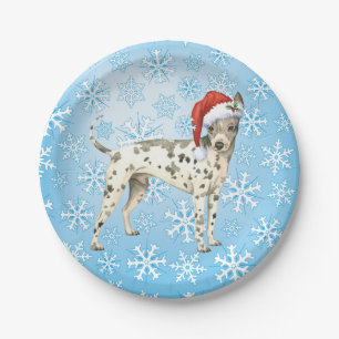 Christmas American Hairless Terrier Paper Plate