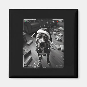Christmas American Staffordshire Terrier Caught On Magnet
