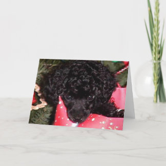 Christmas Angel Holiday Card