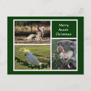 Christmas Animals Aussie Style - Personalizable Holiday Postcard
