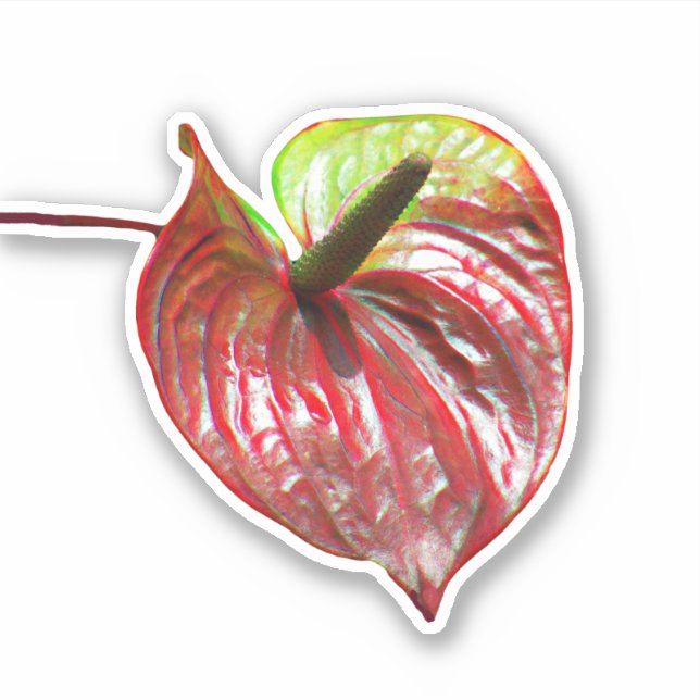 Christmas Anthurium  Vinyl Sticker (Front)