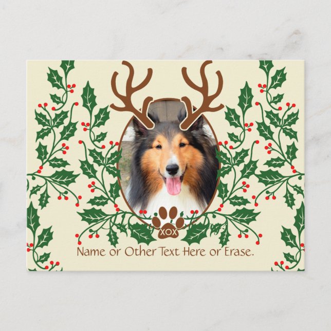 Christmas Antlers For Dog / Cat Personalise Photo Holiday Postcard (Front)