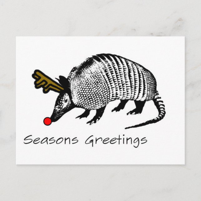 Christmas Armadillo Holiday Postcard (Front)