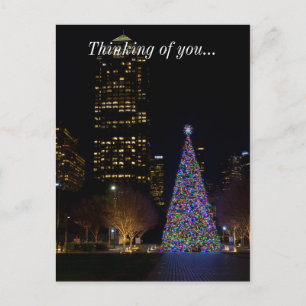 Christmas At Warren Park Night Holiday Postcard