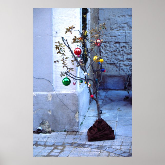 Christmas, Avignon, France Poster (Front)