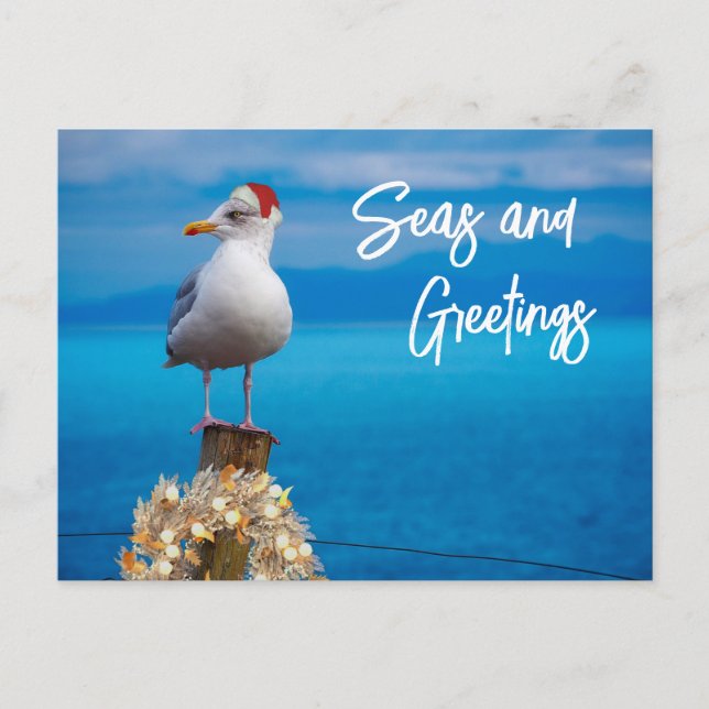 Christmas Beach Seas and Greetings Seagull Ocean Postcard (Front)