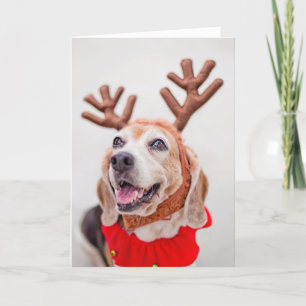 Christmas Beagle dog with festive reindeer ears Holiday Card