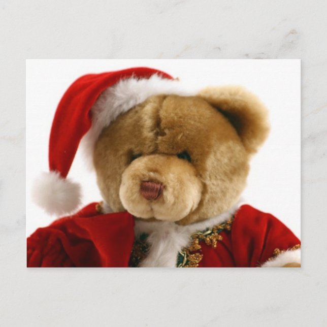 christmas bear holiday postcard (Front)