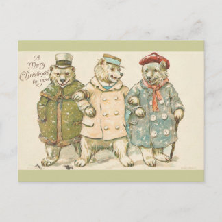 Christmas Bears Holiday Postcard