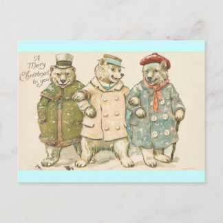Christmas Bears Postcard