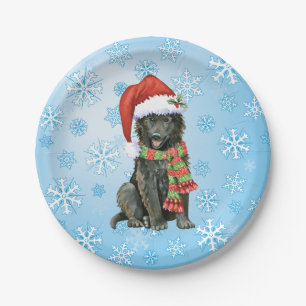Christmas Belgian Sheepdog Paper Plate