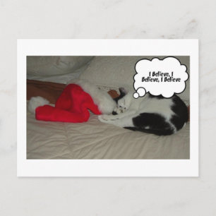 Christmas Believe Holiday Postcard