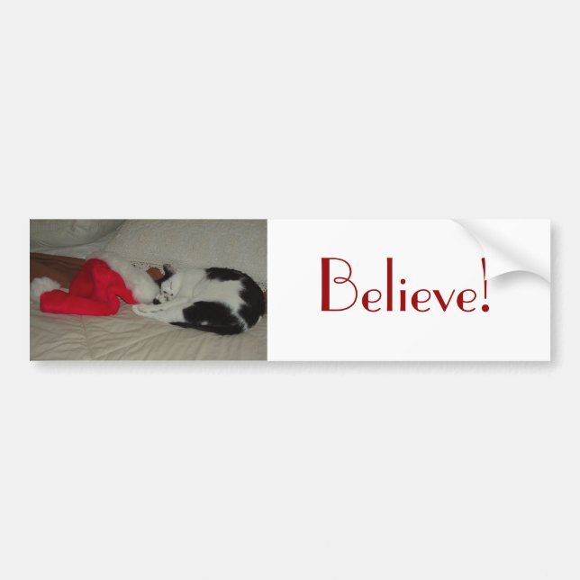 Christmas Believe Kitty Cat Bumper Sticker (Front)