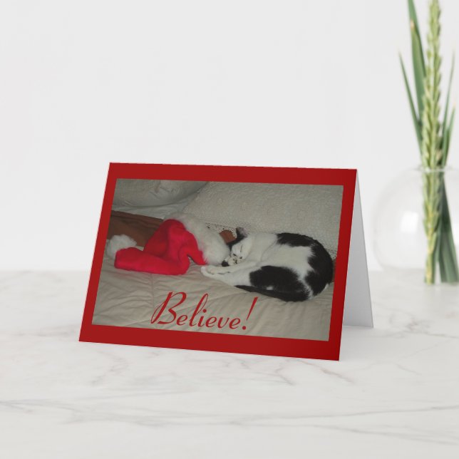 Christmas Believe kitty cat Holiday Card (Front)