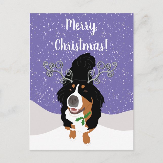 Christmas Bernese mountain Dog Gift Card (Front)
