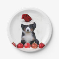 Christmas Bernese Mountain Dog