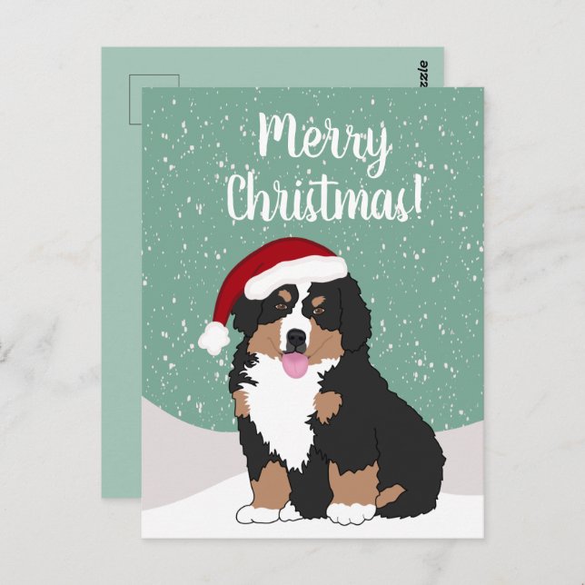 Christmas Bernese mountain Dog  Postcard (Front/Back)