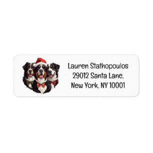 Christmas Bernese Mountain Dogs
