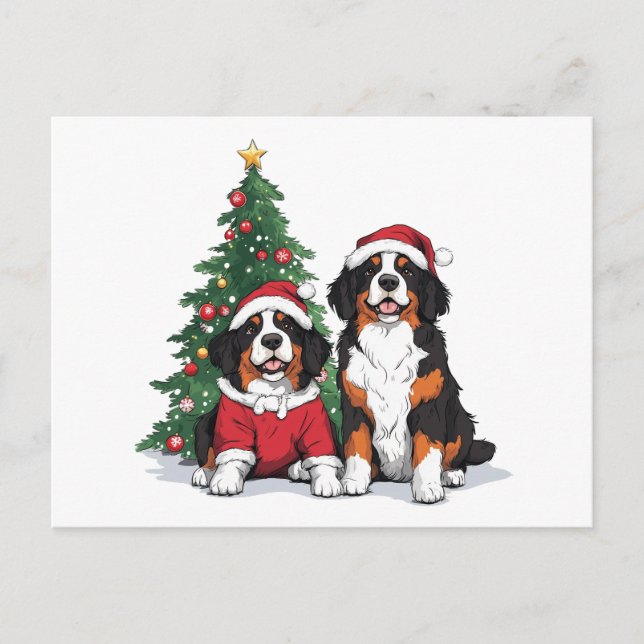 Christmas Bernese Mountain Dogs Postcard (Front)
