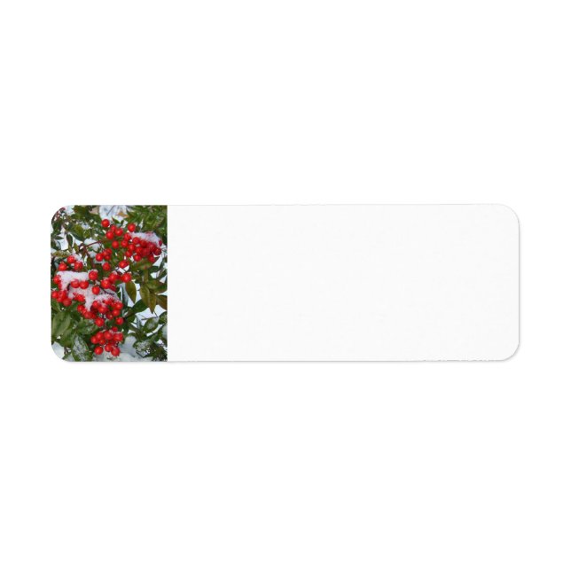 Christmas Berries (Front)