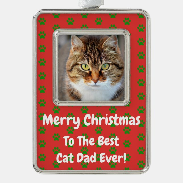 Christmas Best Cat Dad Ever Pet Photo Silver Plated Framed Ornament (Front)