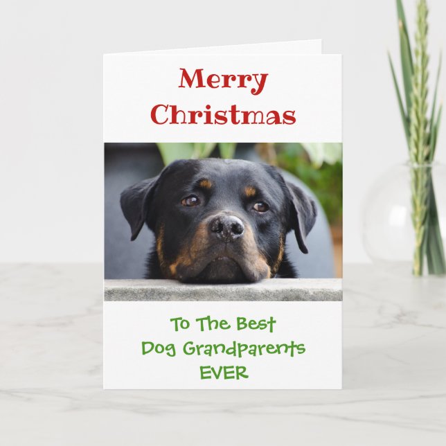 Christmas Best Dog Grandparents Photo Holiday Card (Front)