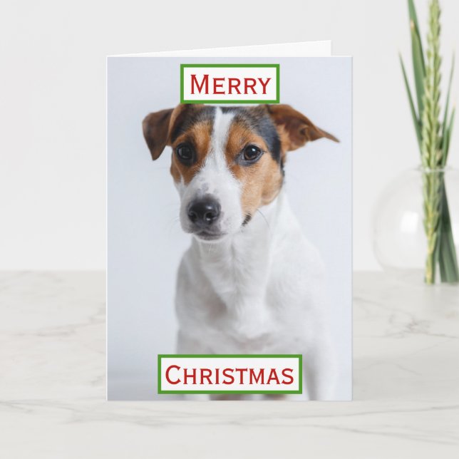 Christmas Best Dog Mum Ever Pet Photo Card (Front)
