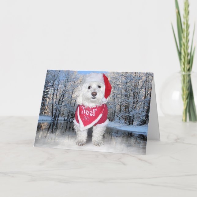 Christmas Bichon Frise Dog Holiday Card (Front)