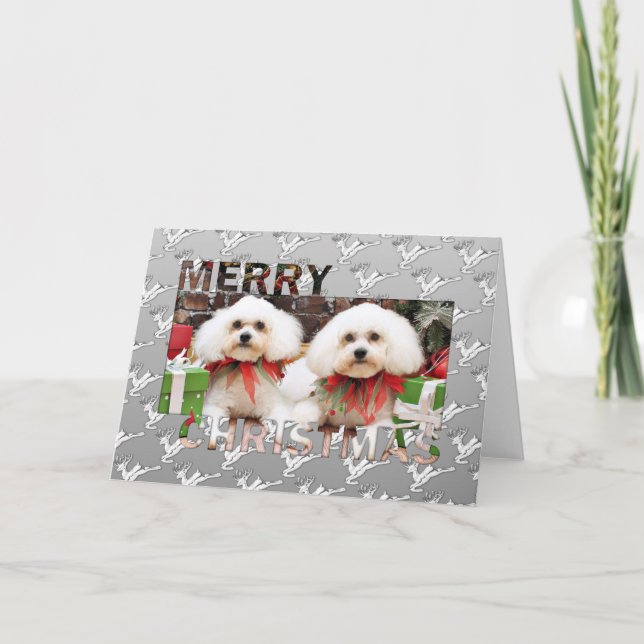 Christmas - Bichon Frise - Harry and Hermie Holiday Card (Front)