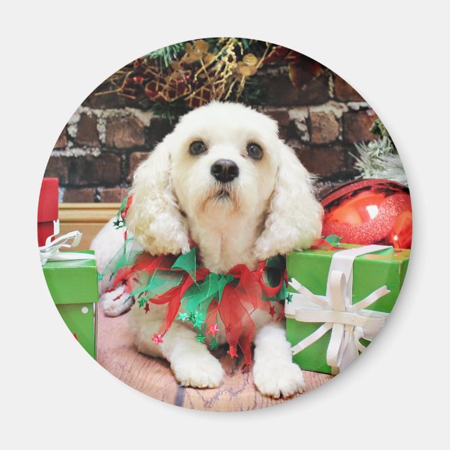 Christmas - Bichon Frise X - Maya Magnet (Front)