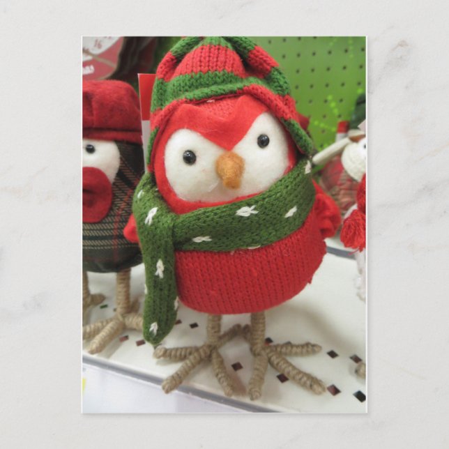 Christmas Bird Holiday Postcard (Front)