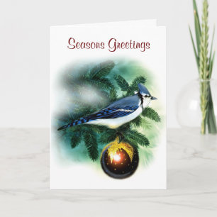 Christmas Bird Pretty Blue Jay Greeting Card