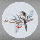 Christmas Bird Red Berries Pine Boughs Watercolor Classic Round Sticker<br><div class="desc">Bird with pine boughs and red berries.</div>