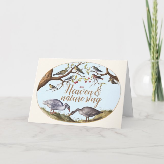 Christmas Birds Holiday Card (Front)