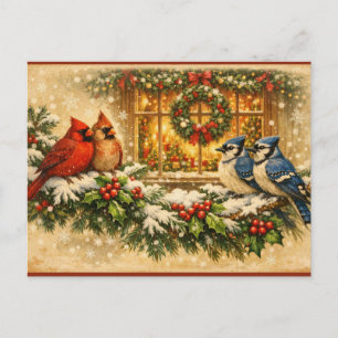 Christmas Birds on the Winter Berry Branches Holiday Postcard