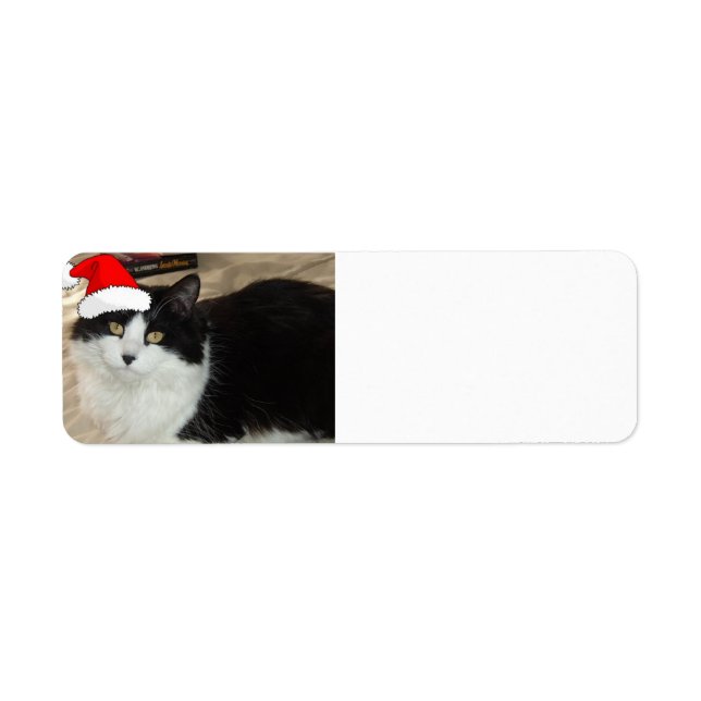 Christmas Black and White Cat (Front)