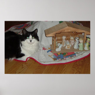 Christmas Black and White Cat Poster