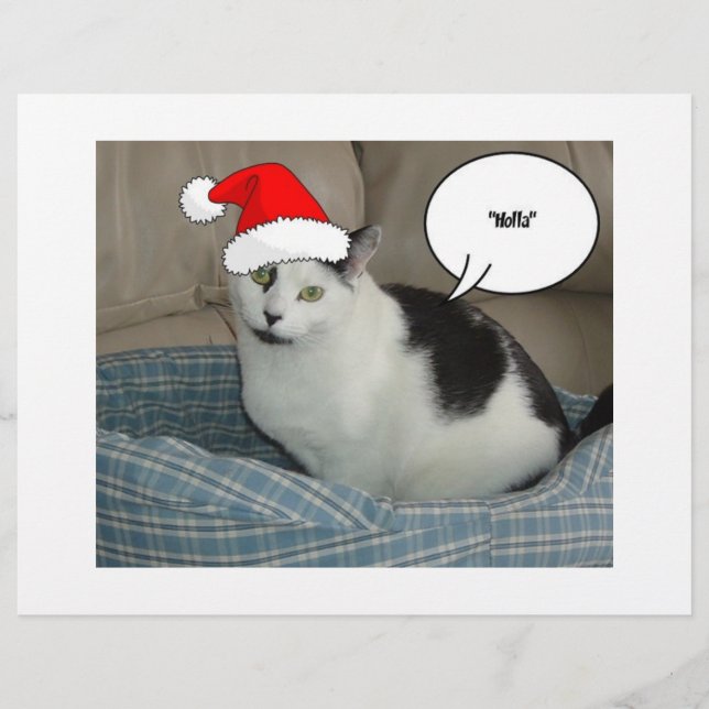 Christmas Black and White Kitten Flyer (Front)
