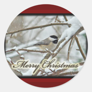 Christmas Black Capped Chickadee in Snow Classic Round Sticker