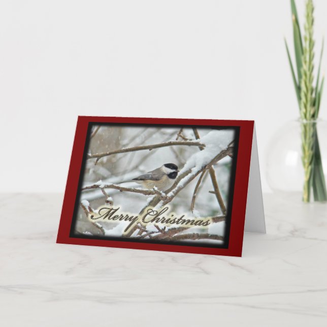 Christmas Black Capped Chickadee in Snow Holiday Card (Front)