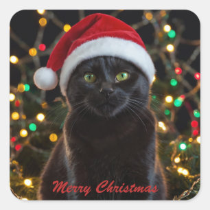 Christmas Black Cat - Santa Hat Personalised photo Square Sticker
