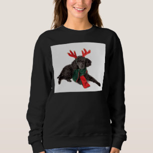 Christmas Black Poodle With Green Scarf Red Antler Sweatshirt