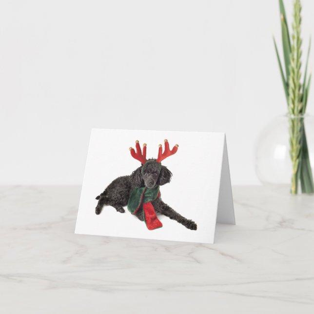 Christmas Black Toy Poodle Dog Dressed as Reindeer Holiday Card (Front)