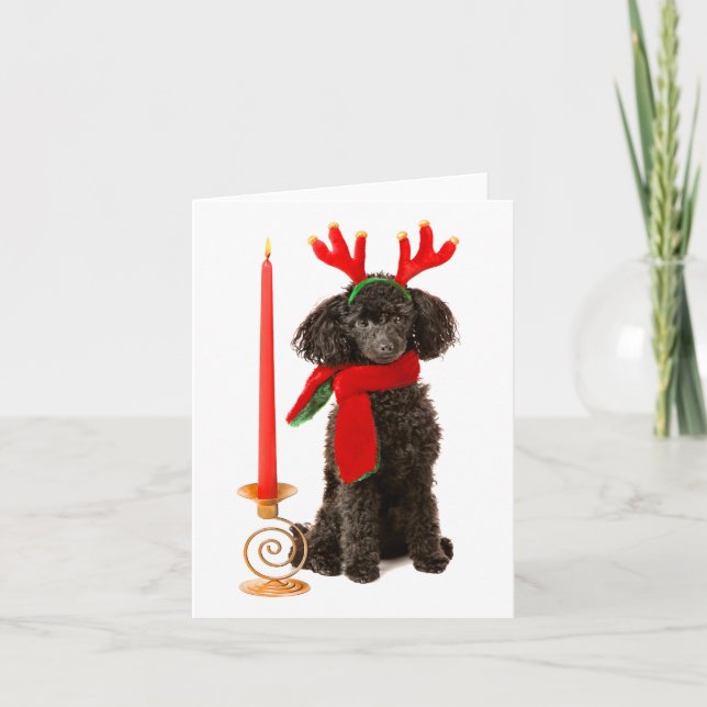 Christmas Black Toy Poodle Dog Dressed as Reindeer Holiday Card (Front)