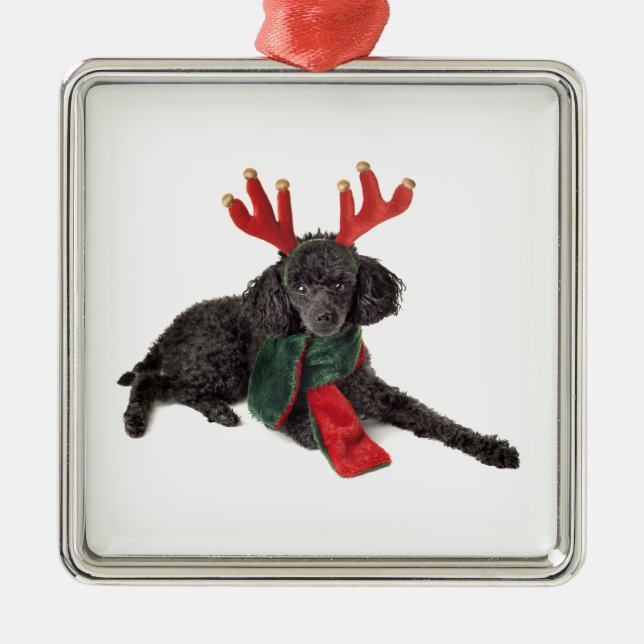 Christmas Black Toy Poodle Dog Dressed as Reindeer Metal Tree Decoration (Front)