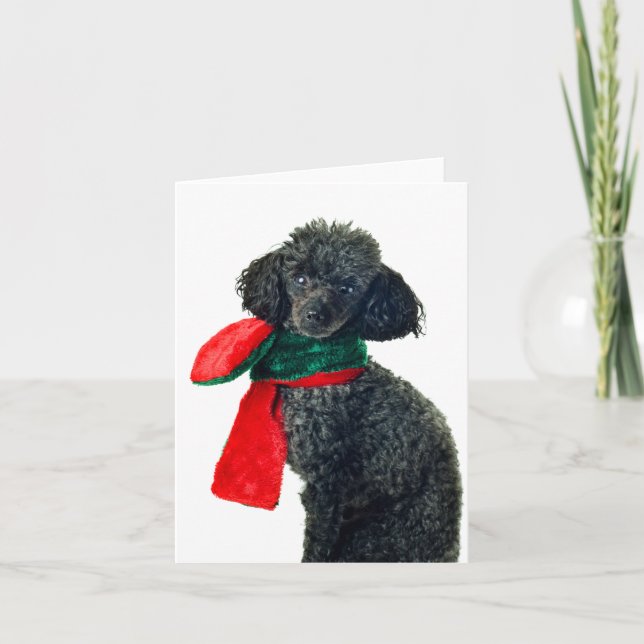 Christmas Black Toy Poodle Dog Reindeer Red Scarf Holiday Card (Front)