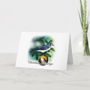 Christmas Blessings - Christmas Card - Bird And Or