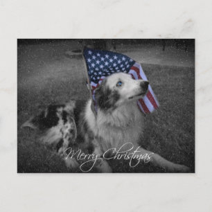 Christmas Blue Eyed American Flag Dog Postcard