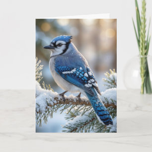 Christmas Blue Jay On a Snowy Pine Card