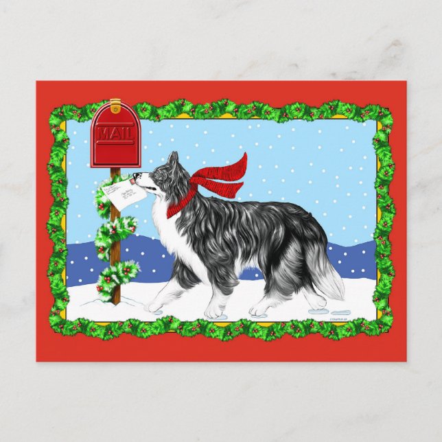 Christmas Border Collie Mail Holiday Postcard (Front)